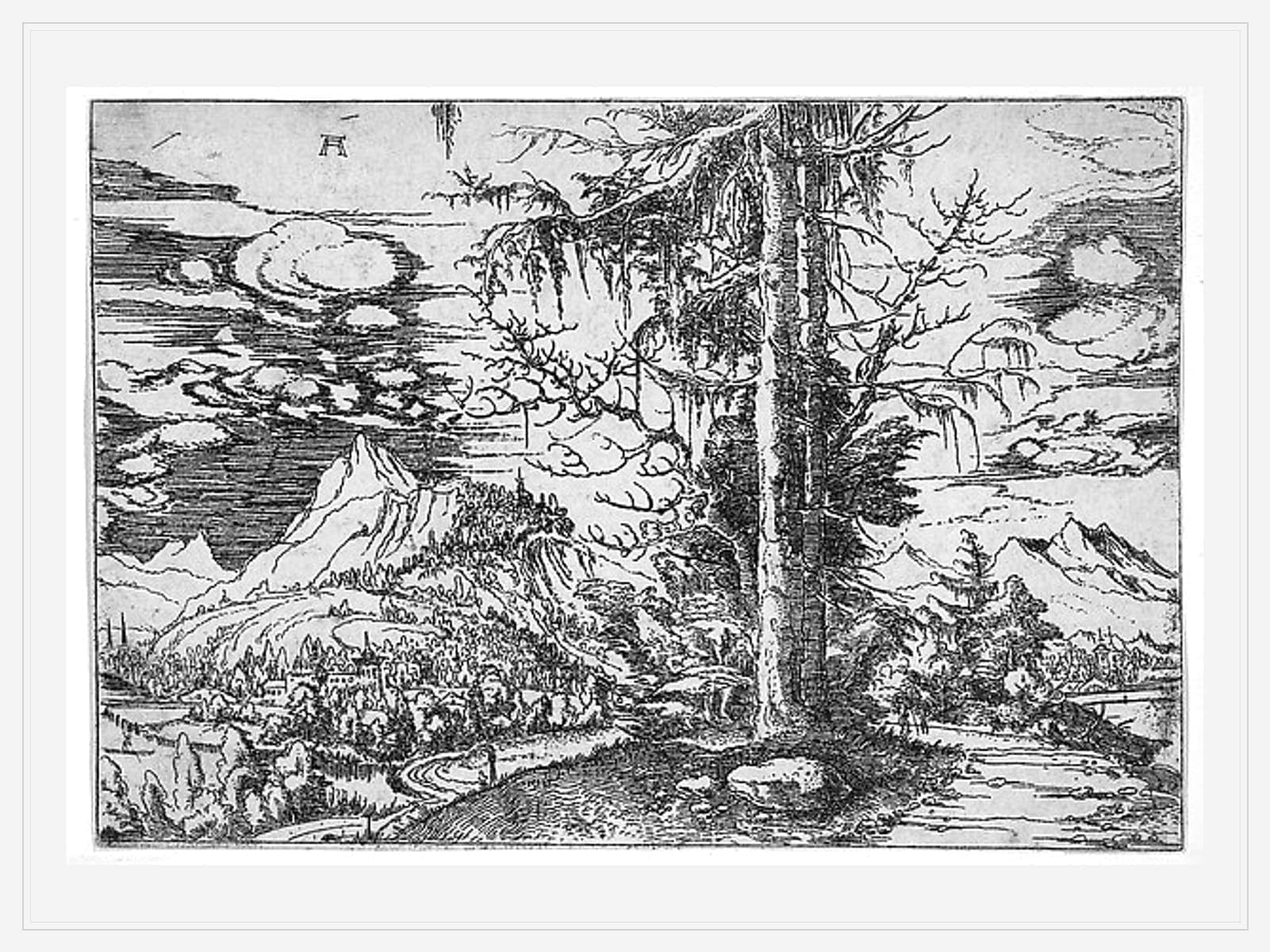 Blog Archive
