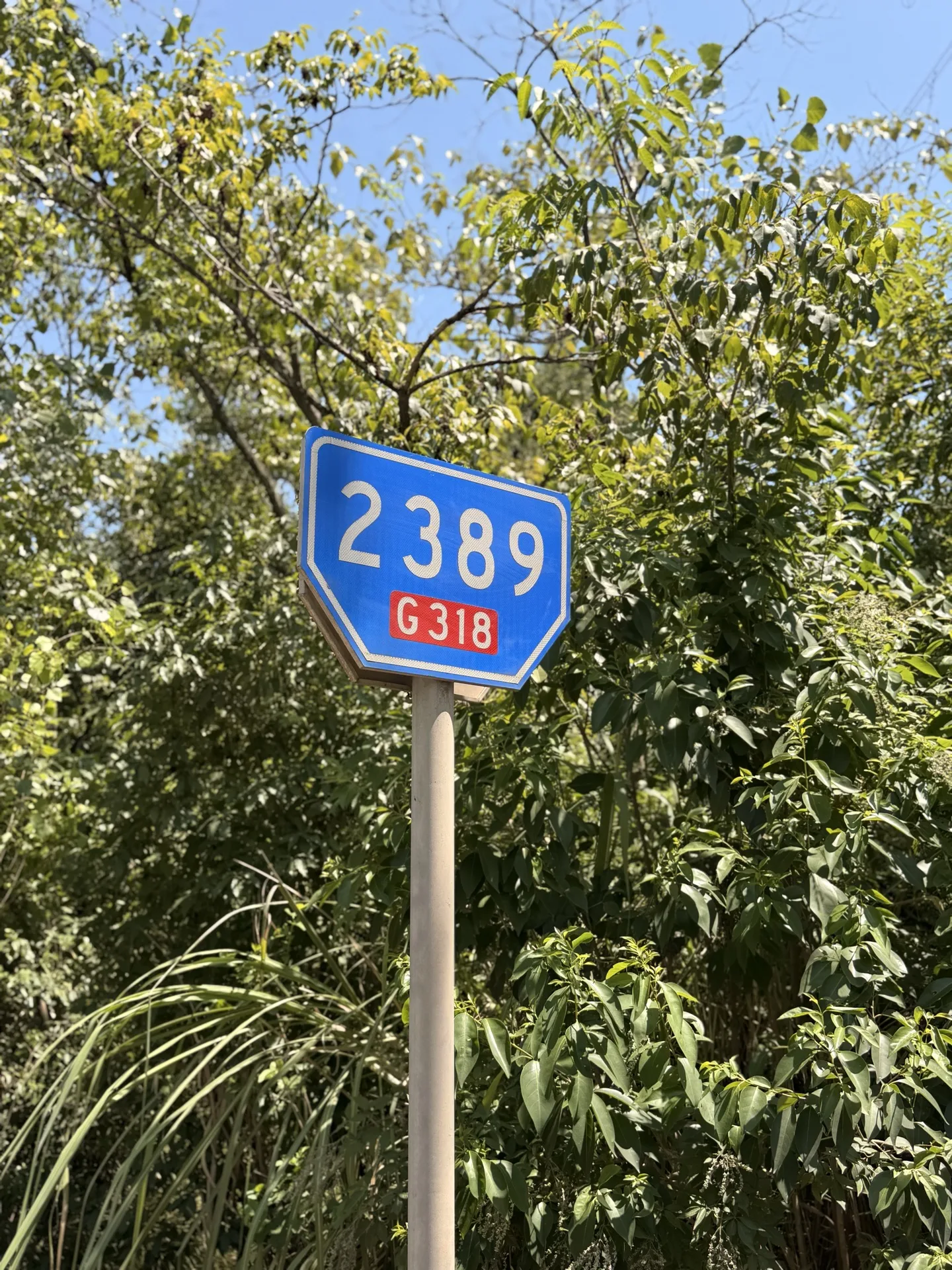 G318 国道 2389 公里里程牌